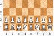 Chess960 – иновативен и разнообразен шахматен вариант